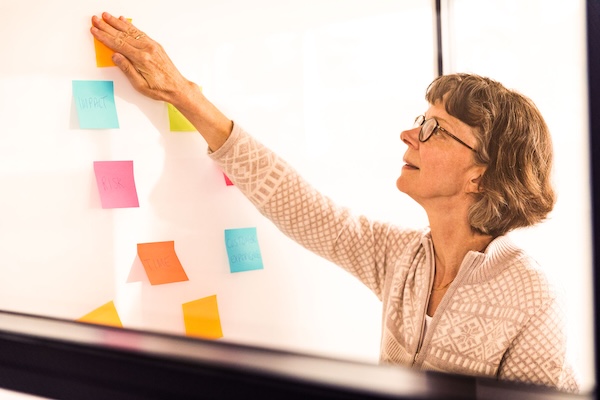 Inge Bograd, Darize consultant