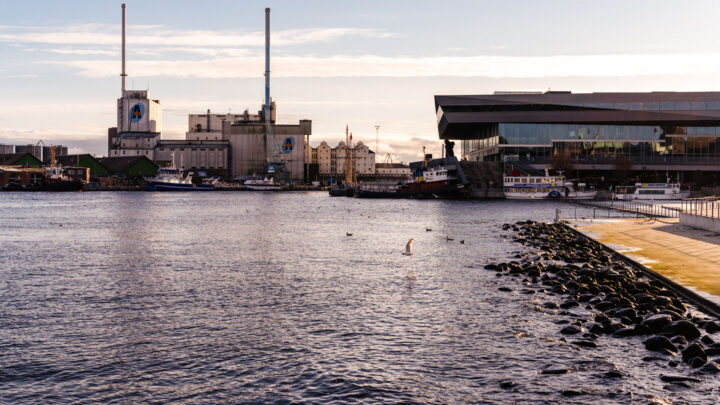 Copenhagen harbor in sunlight, representing a sustainable future.