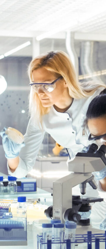 Medical research scientists conducting experiments and analyzing results in a laboratory